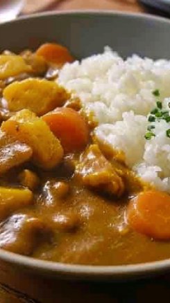 Japanese Curry on Rice