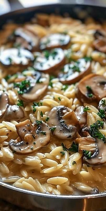 One-Pot Creamy Mushroom Orzo 4 One-Pot Creamy Mushroom Orzo: Easy, Delicious Recipe!