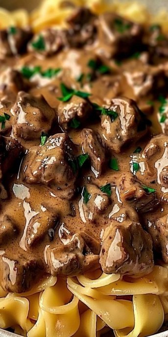 Beef Stroganoff with Egg Noodles 4 Beef Stroganoff with Egg Noodles