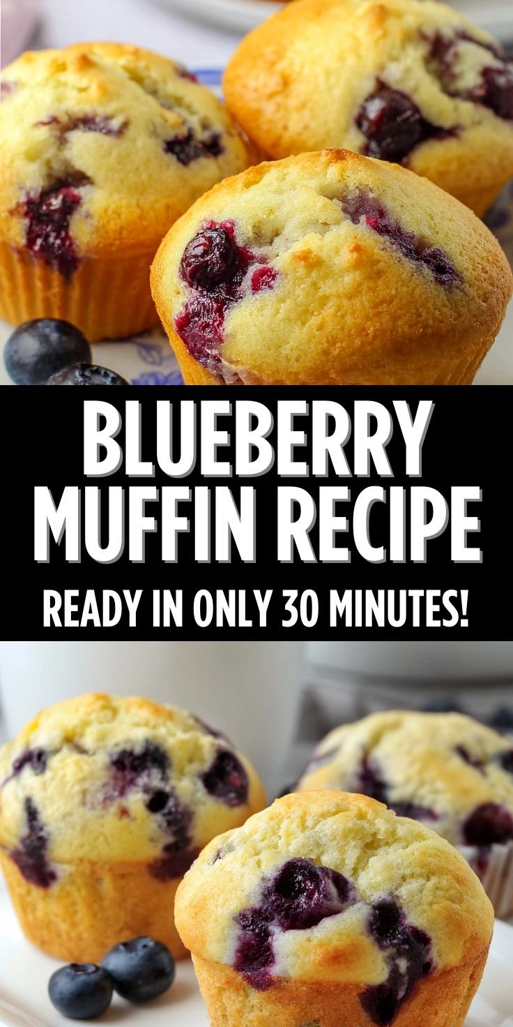 Blueberry Muffins 5 Blueberry Muffins