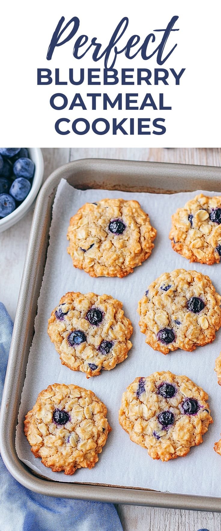 Cinnamon Blueberry Oatmeal Cookies