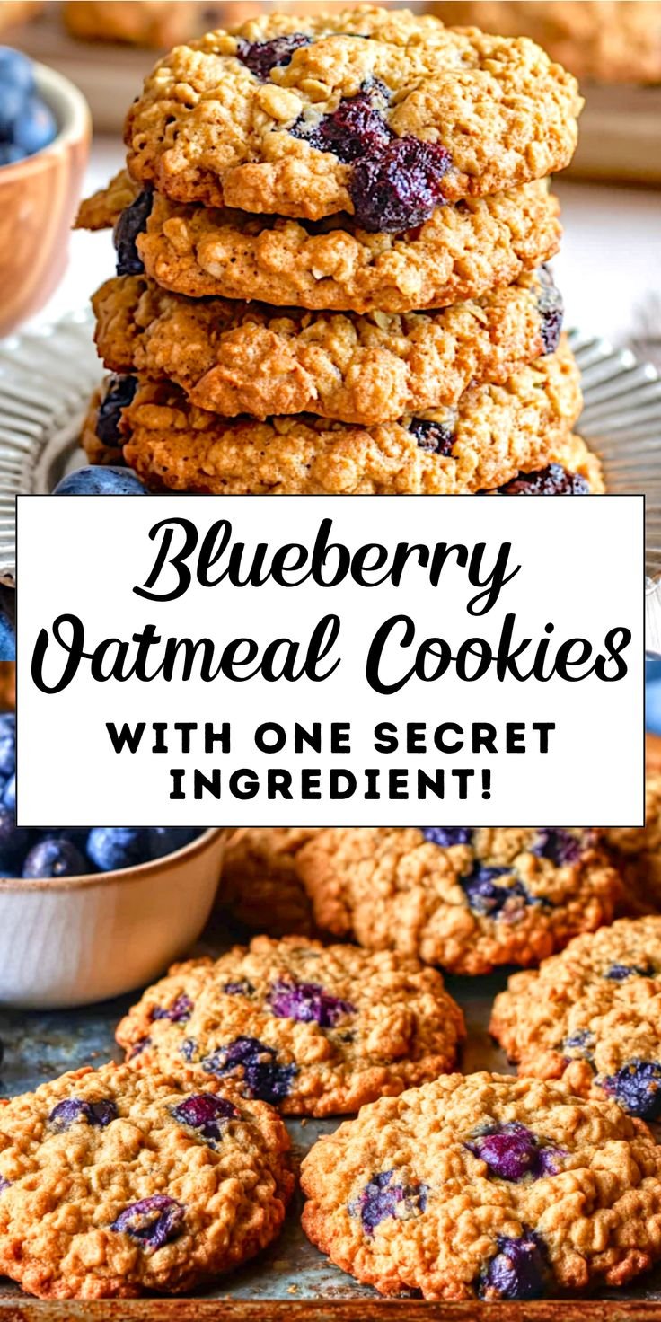 Blueberry Oatmeal Cookies 4 Blueberry Oatmeal Cookies