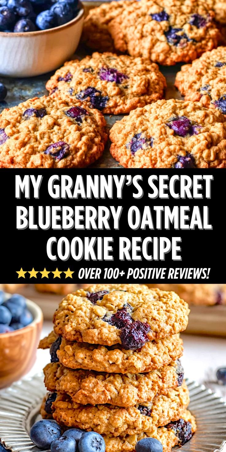 Granny's Blueberry Oatmeal Cookies 5 Granny's Blueberry Oatmeal Cookies