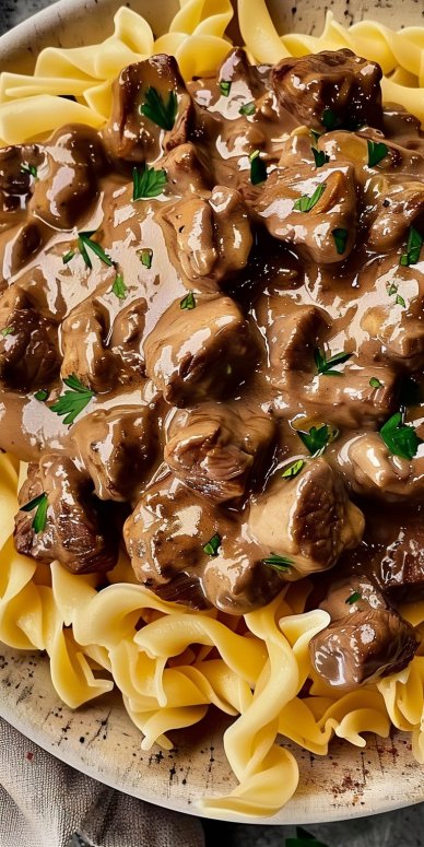 Beef Stroganoff with Egg Noodles 6 Beef Stroganoff with Egg Noodles