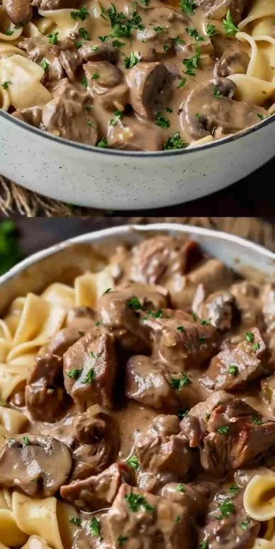 Creamy Beef Stroganoff served with egg noodles in a bowl
