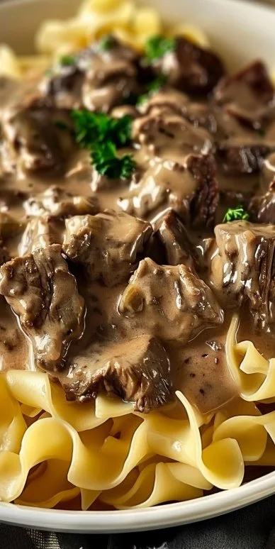Beef Stroganoff with Egg Noodles 4 Creamy Beef Stroganoff served over egg noodles in a rustic bowl