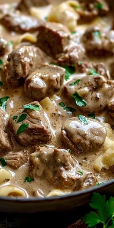 Creamy Beef Stroganoff 4 Creamy beef stroganoff served with pasta and garnished with parsley