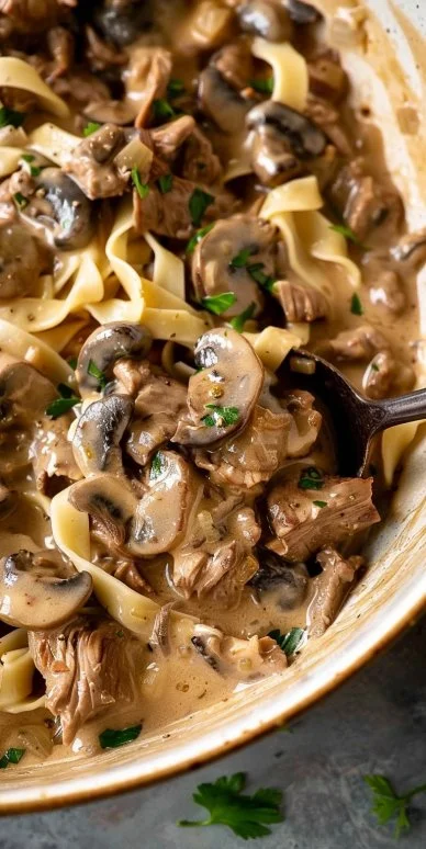 Plate of easy beef stroganoff with pasta and fresh herbs