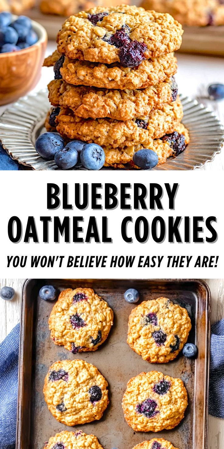 Blueberry Oatmeal Cookies 5 Blueberry Oatmeal Cookies