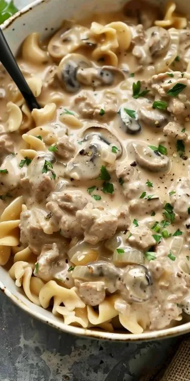 Ground Beef Stroganoff 4 Delicious bowl of Ground Beef Stroganoff with noodles and creamy sauce