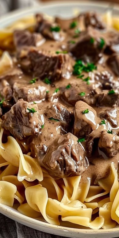 Beef Stroganoff with Egg Noodles 6 Beef Stroganoff with Egg Noodles