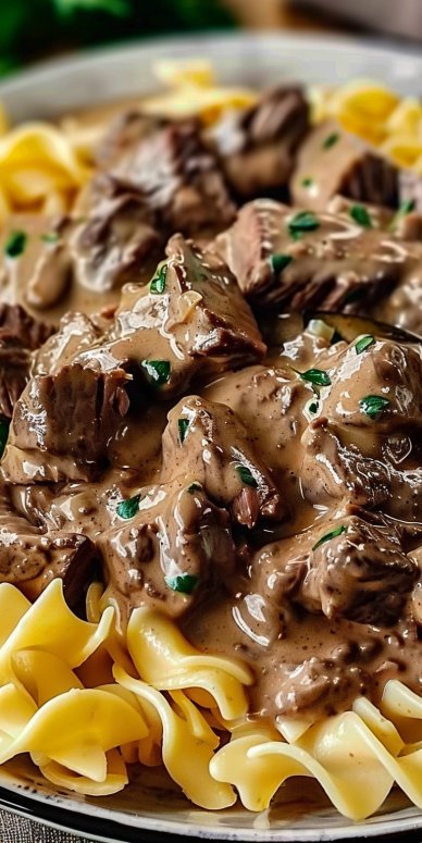 Beef Stroganoff with Egg Noodles 5 Beef Stroganoff with Egg Noodles