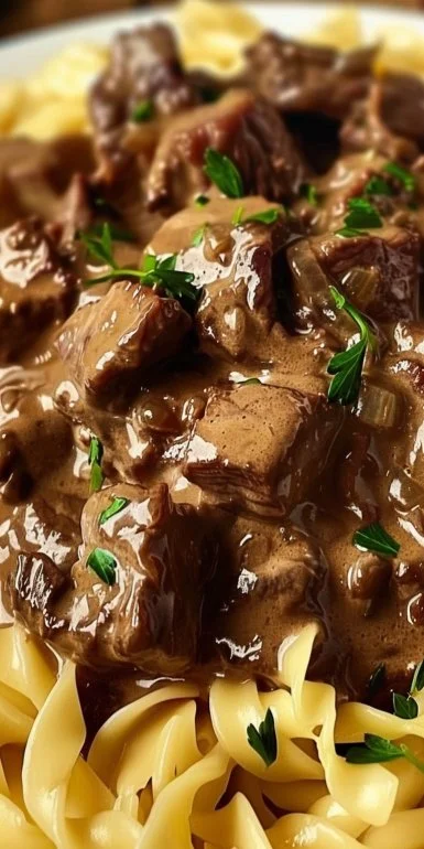 Beef Stroganoff with Egg Noodles